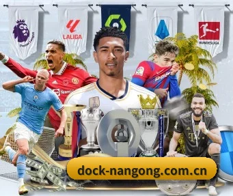 dock-nangong.com.cn APP